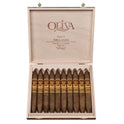 Oliva V Melanio-figurado